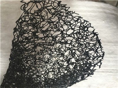 護坡生態(tài)新方案 阿拉善盟三維生態(tài)水土保護毯的專業(yè)生產廠家